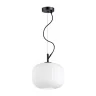 Подвесной светильник Odeon Light Roofi 4753/1