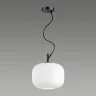 Подвесной светильник Odeon Light Roofi 4753/1