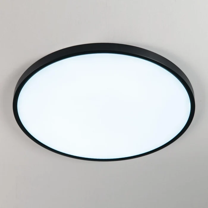 Светильник потолочный Citilux Бейсик CL738501V