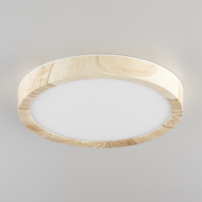 Светильник накладной Citilux Бейсик CL738122N