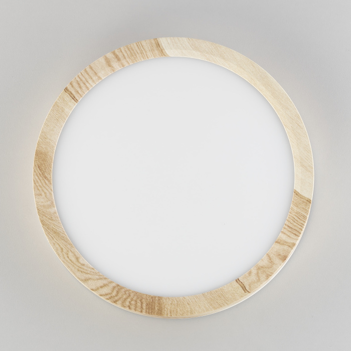 Светильник накладной Citilux Бейсик CL738122N