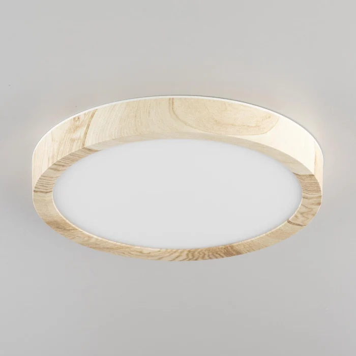 Светильник потолочный Citilux Бейсик CL738122N