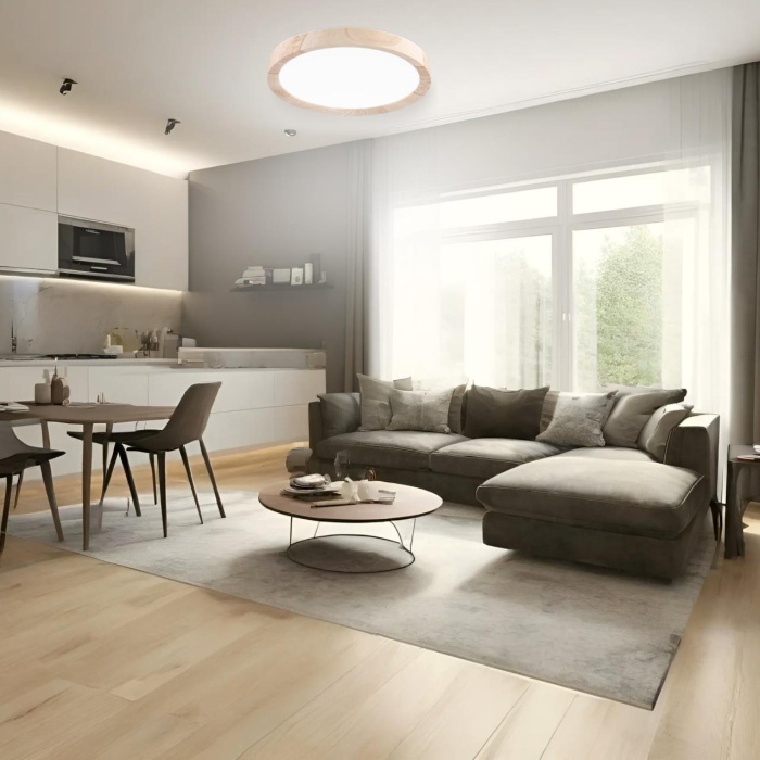 Светильник потолочный Citilux Бейсик CL738122N