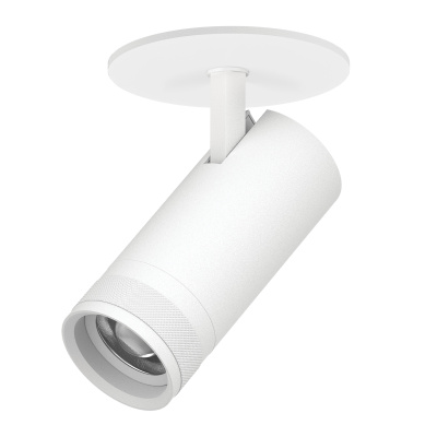 Встраиваемый спот Lightstar Canno pro C4206RS