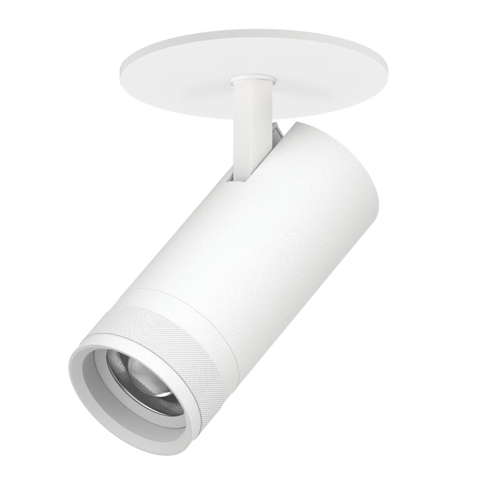 Встраиваемый спот Lightstar Canno pro C4206RS