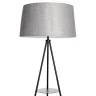 Торшер Citilux Рейнер CL806022