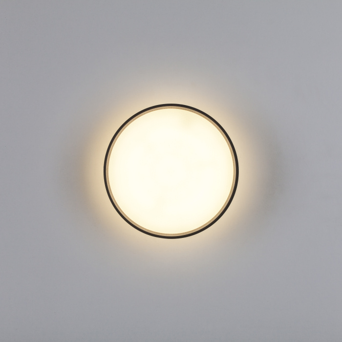 Накладной потолочный светильник Lightstar Acuto 215937