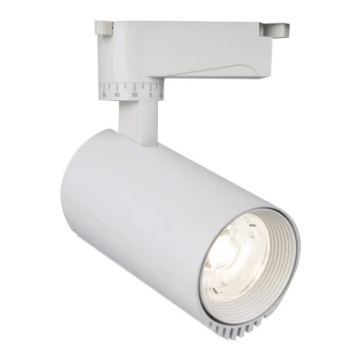 Трековый светодиодный светильник Escada 20031TRA/02LED SWH
