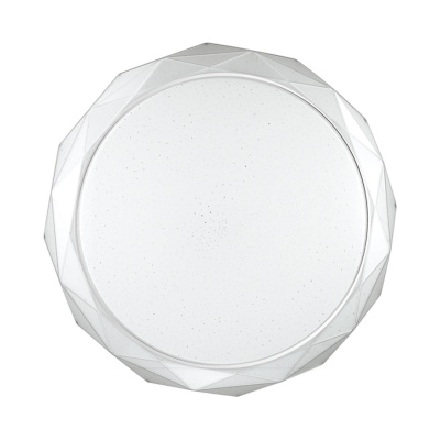 Настенно-потолочный светильник СОНЕКС PALE 2045/ELN