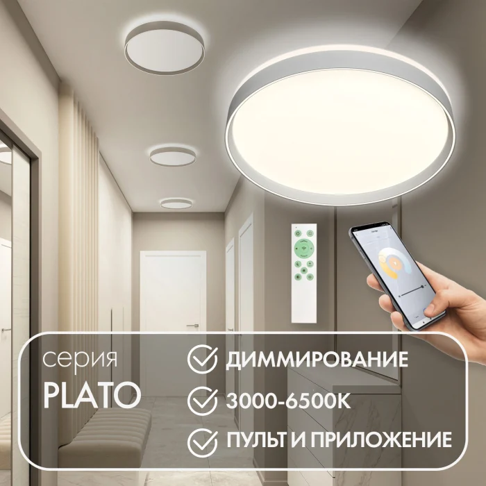 Потолочный светильник Denkirs PLATO DK6511-WH
