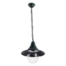 Уличный подвесной светильник Arte Lamp MALAGA A1085SO-1BG