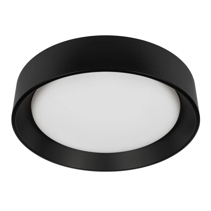 Потолочный светильник Loft it Coin 10202 BB