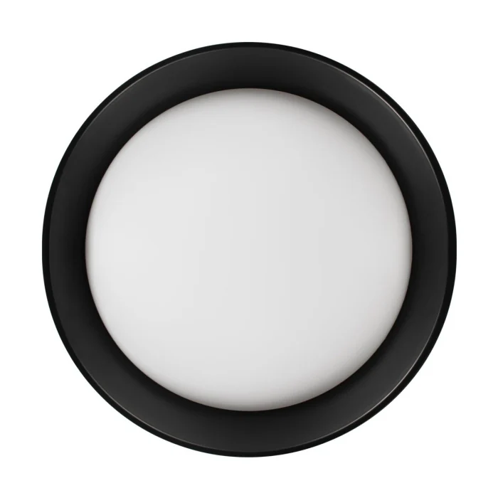 Потолочный светильник Loft it Coin 10202 BB