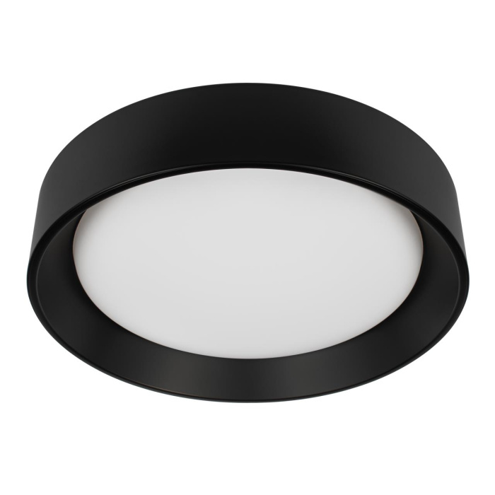 Потолочный светильник Loft it Coin 10202 BB