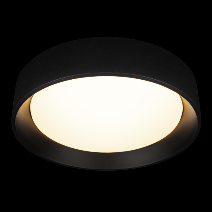 Потолочный светильник Loft it Coin 10202 BB