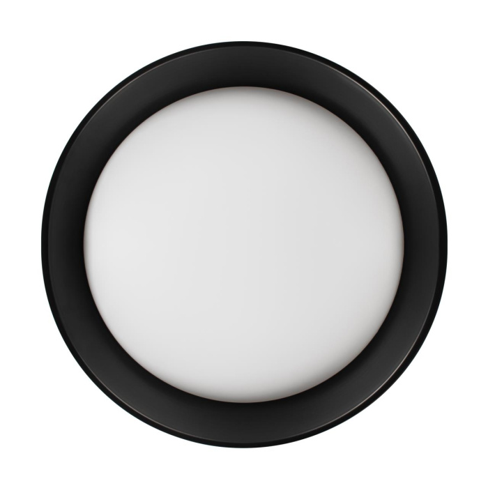 Потолочный светильник Loft it Coin 10202 BB