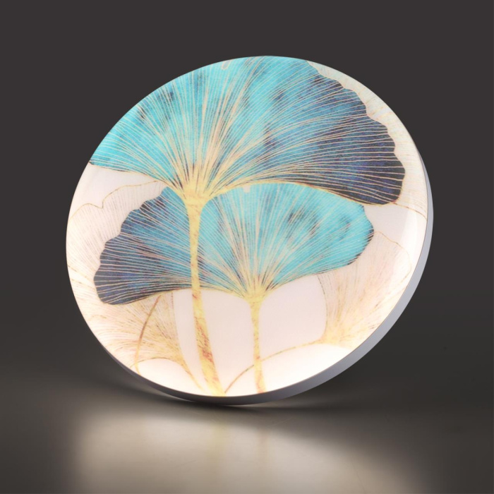 Настенно-потолочный светильник SONEX FLOREN 7747/DL