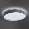 Потолочный светильник Freya FR6222CL-L84W