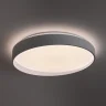 Потолочный светильник Freya FR6222CL-L84W