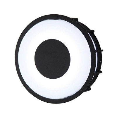 Светодиодный настенно-потолочный уличный светильник L&#039;ARTE LUCE TELMA L78056.31