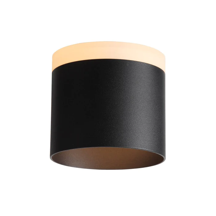 ST102.402.12 Светильник потолочный ST-Luce Черный/Белый LED 1*12W