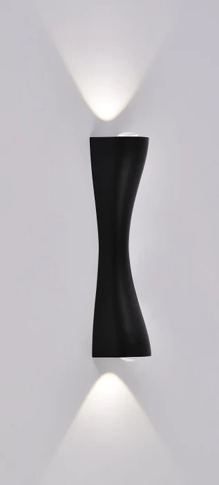 Светильник настенный Arte Lamp TEGMINE A2696AP-10BK