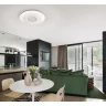 Потолочный светильник Citilux Light & Music CL703M61