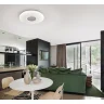Потолочный светильник Citilux Light & Music CL703M61