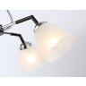 Подвесной светильник Ambrella light TR303293