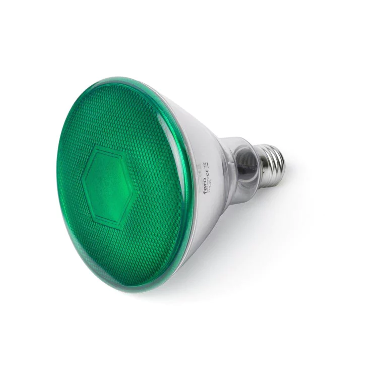 Светодиодная лампа BULB PAR38 E27 LED 10W GREEN