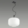 Подвесной светильник Odeon Light Roofi 4754/1