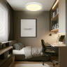 Светильник потолочный Citilux Basic Line CL738320VL