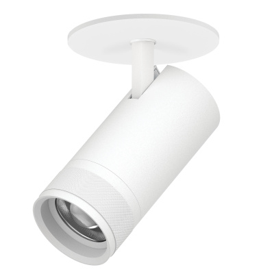 Встраиваемый спот Lightstar Canno pro C4306RS