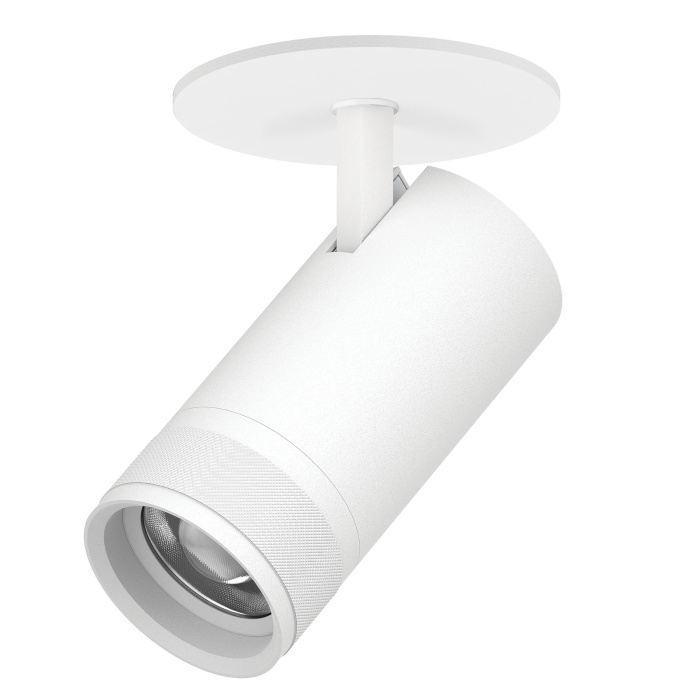 Встраиваемый спот Lightstar Canno pro C4306RS