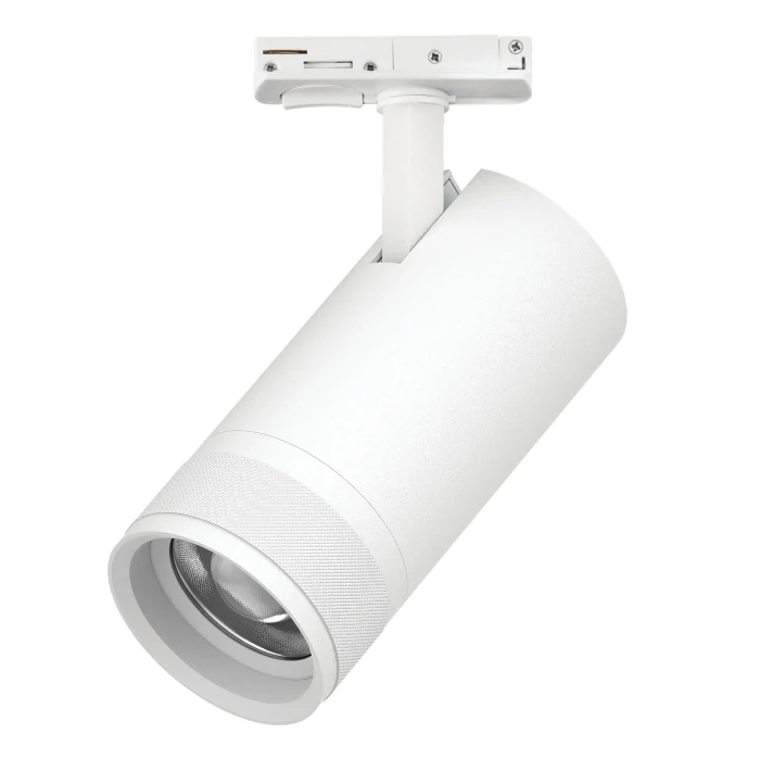 Трековый светильник Lightstar Canno pro C4306SS