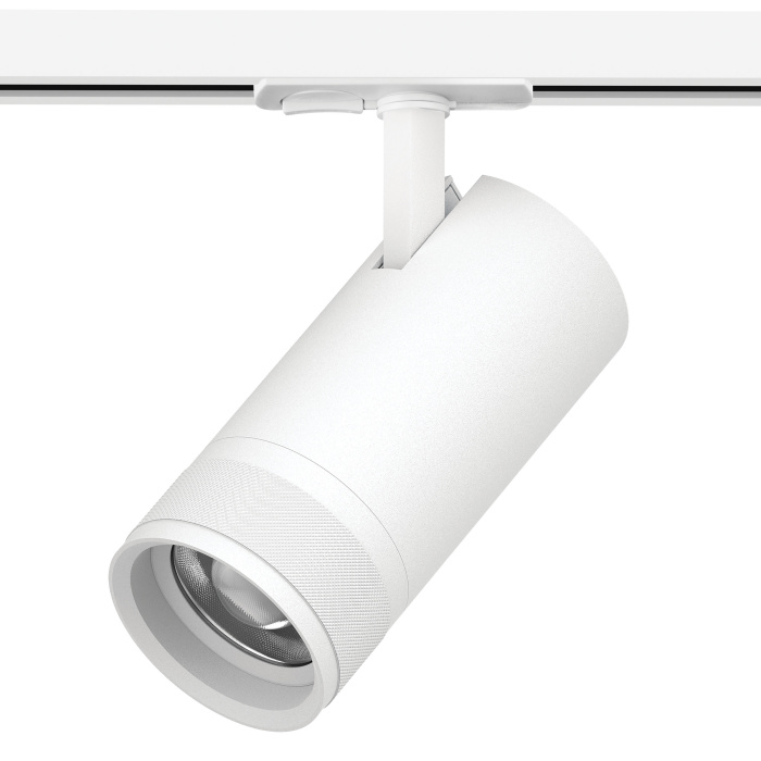 Трековый светильник Lightstar Canno pro C4306SS