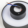 Накладной потолочный светильник Lightstar Acuto 215947