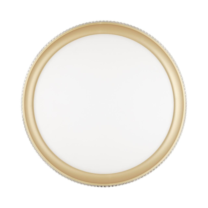 Настенно-потолочный светильник СОНЕКС PALE 3054/EL