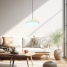 Подвесной светильник Escada Iris 10304/1LED Black/White