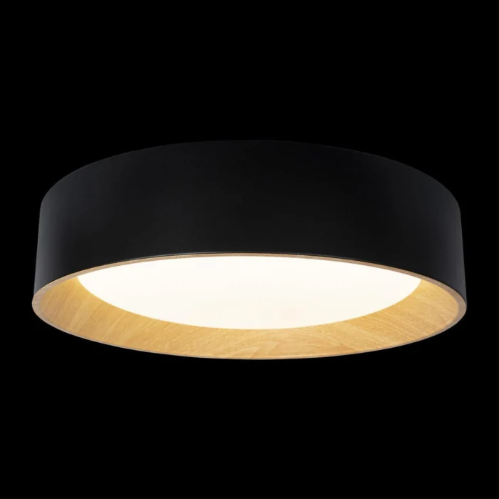 Потолочный светильник Loft it Coin 10202 Black