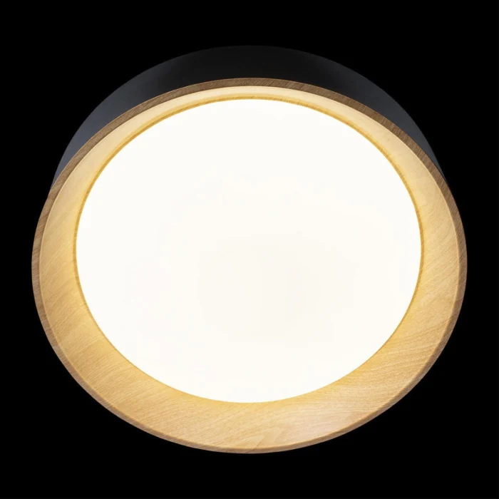 Потолочный светильник Loft it Coin 10202 Black