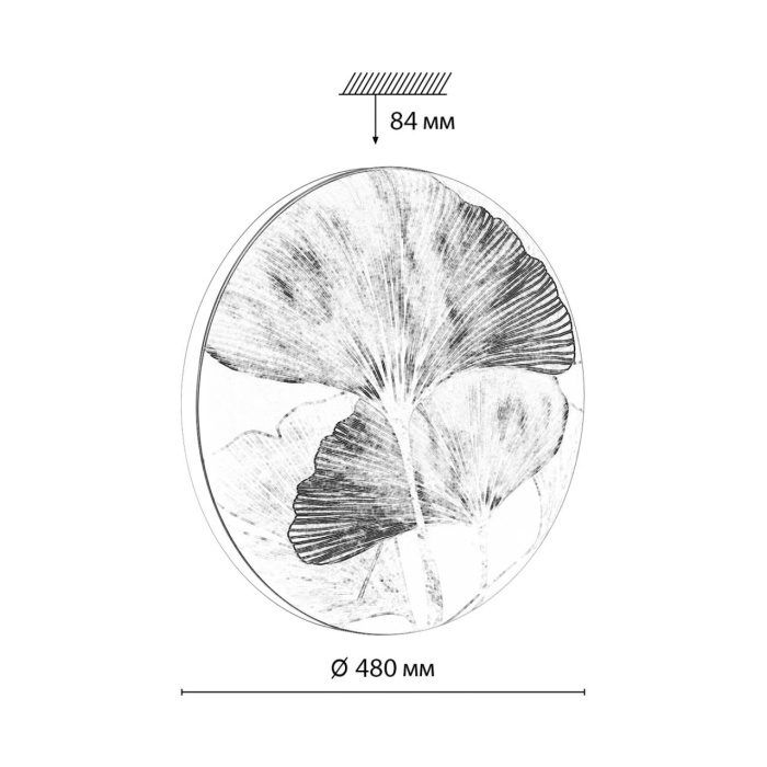 Настенно-потолочный светильник SONEX FLOREN 7747/EL
