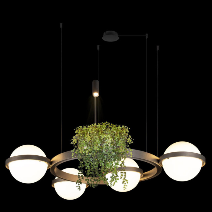 Подвесной светильник Loft it Jardin 10121/4 Dark grey