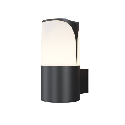 Уличный настенный светильник Maytoni Piccadilly O016WL-01B