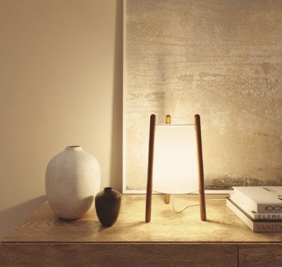 Настольная лампа Leds C4 WOODY