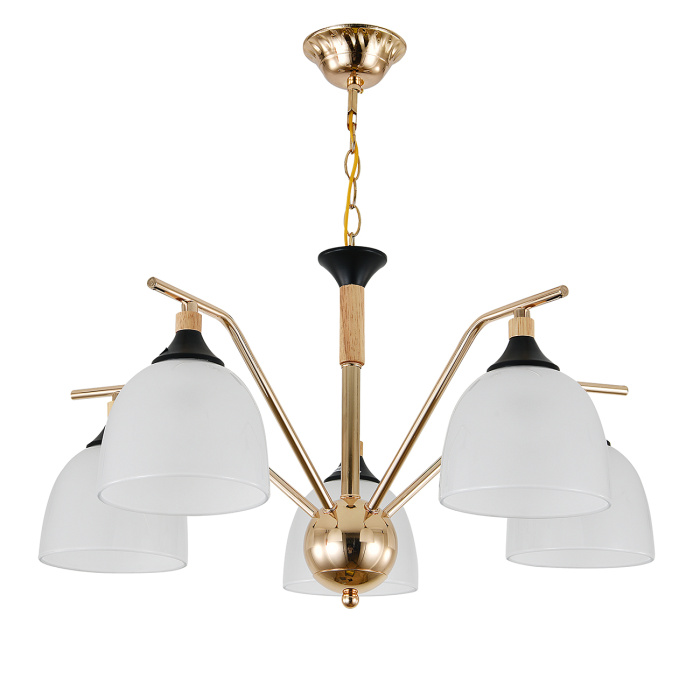 Подвесной светильник ACTINIDIA ESCADA 2123/5P