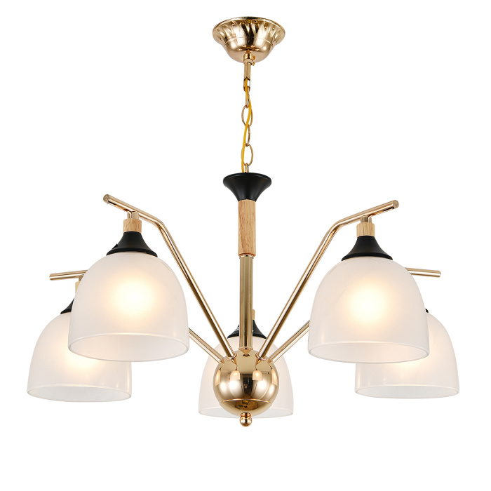 Подвесной светильник ACTINIDIA ESCADA 2123/5P