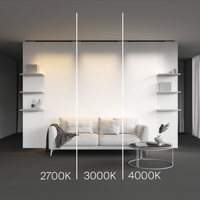 Трековый светильник Maytoni Basis TR192-1-21W3K-B