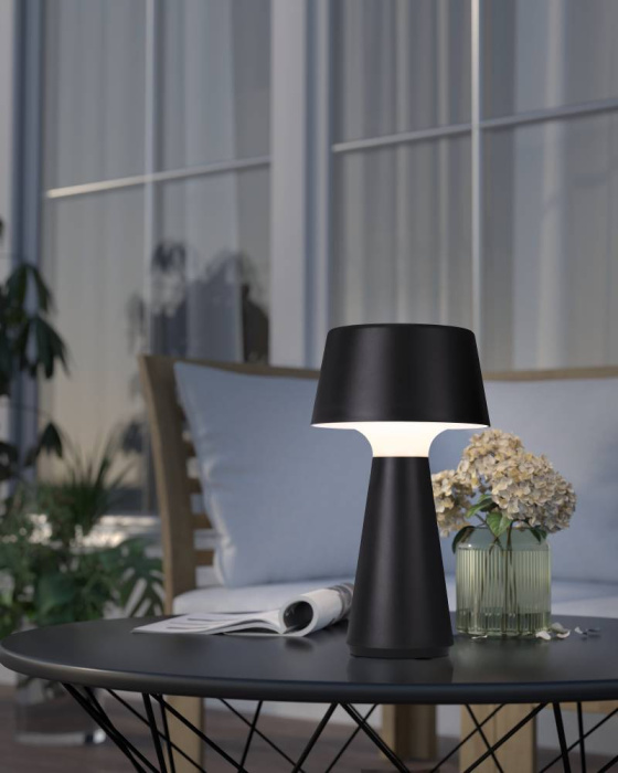 Настольная лампа EGLO HUESA 75796