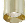 Потолочный светильник Maytoni Focus C010CL-01G